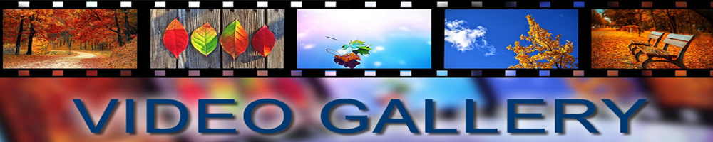 video gallery